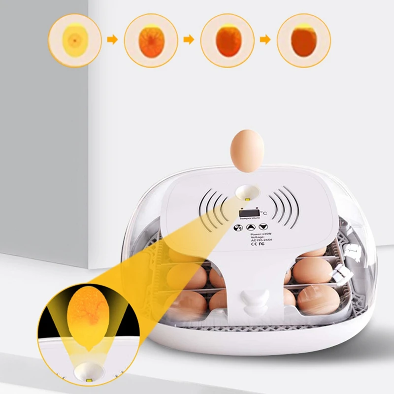 Инкубатор на 16 Яйца 1бр С Автоматично переворачиванием Яйца, Автоматична Дресинг вода, Автоматичен контрол на температурата, штепсельная вилица САЩ Изображение 4